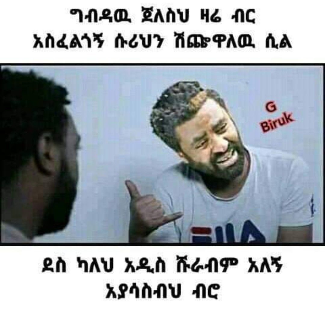ግብዳዉ ጀለስህ ዛሬ ብር አስፈልጎኝ ሱሪህን ሽጩዋለዉ ሲል ደስ ካለህ አዲስ ሹራብም አለኝ አያሳስብህ ብሮ 